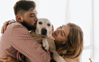 Cuando se acaba el amor, ¿Quién se queda con las mascotas?